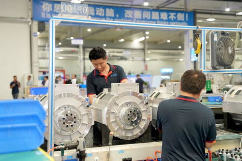 兩新政策紅利惠及生產企業，保稅造借機遇再上新臺階